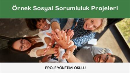 Devlet Okullarında Sosyal Sorumluluk ve Gönüllülük Projeleri