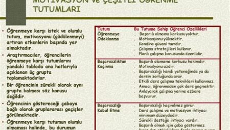 Başarılı Öğrencilerden Motivasyon Tüyoları