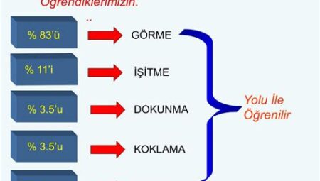 Bilgi Tekrarının Öğrenmedeki Önemi
