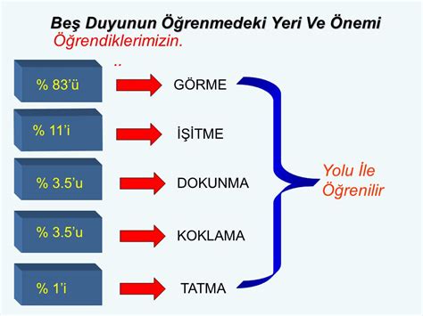Bilgi Tekrarının Öğrenmedeki Önemi