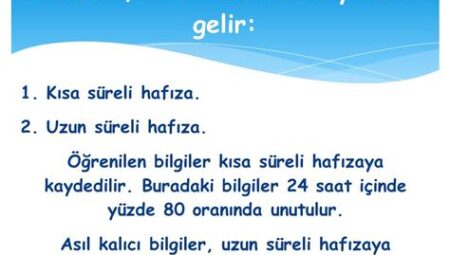 Hafızaya Kalıcı Bilgi Yerleştirme Yolları