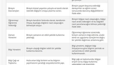 Kendi Kendini Sorgulama ile Öğrenmeyi Test Etme