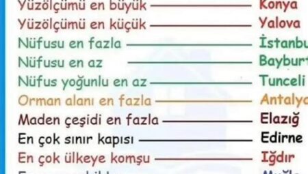Konu Yoğunluğu Olan Derslere Yaklaşım