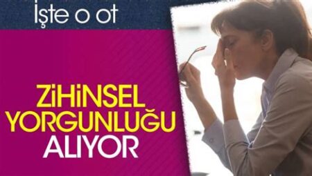 KPSS’de Zihinsel Yorgunluğu Önleme Stratejileri