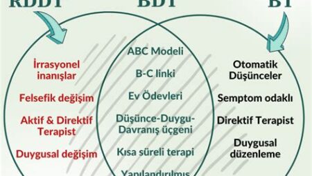 KPSS’ye Hazırlıkta Hızlı Öğrenme İçin Bilişsel Teknikler