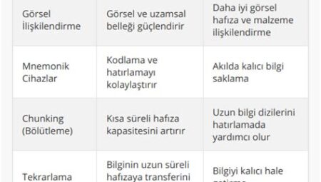 Multimedya Kullanarak Bilgileri Güçlendirme