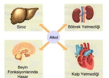Soru Çözme Performansını Artıran Alışkanlıklar