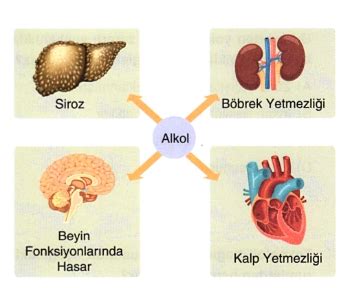 Soru Çözme Performansını Artıran Alışkanlıklar